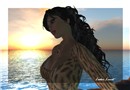 black swan 12