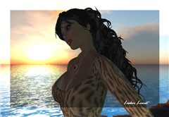 black swan 12