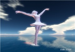 black swan 10