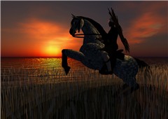 horsewindlightwheatfield