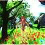 Fairy