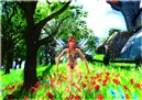 Fairy