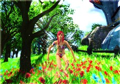 Fairy