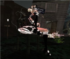 verdana doll2