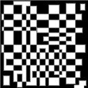 SLE Style-Black White Illusions Art