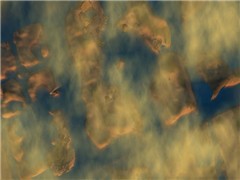 nebbia - Eleonora Porta