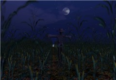 night 00023