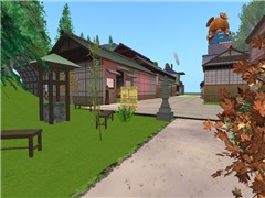 Nakama - Koinup Burt