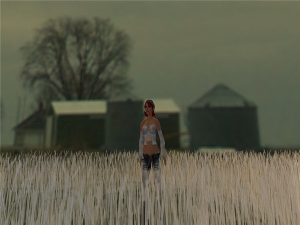 wheat fields - Lucrezia Ryba