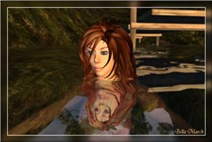Snapshot_050