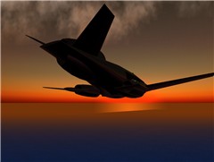 blackperegrine1_003