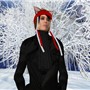 Winter Wonderland