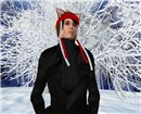 Winter Wonderland