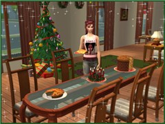 Christmas Holidays...
