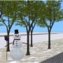 A Lonely Snowman