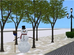 A Lonely Snowman