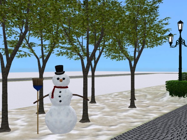 A Lonely Snowman