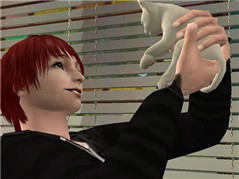 084
