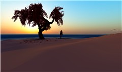 Snapshot_009
