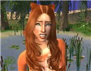 Foxy