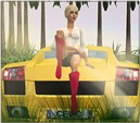 Pin up in the sunset