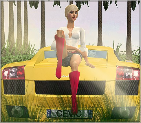 Pin up in the sunset