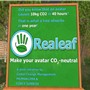 07-12-09 - Realeaf
