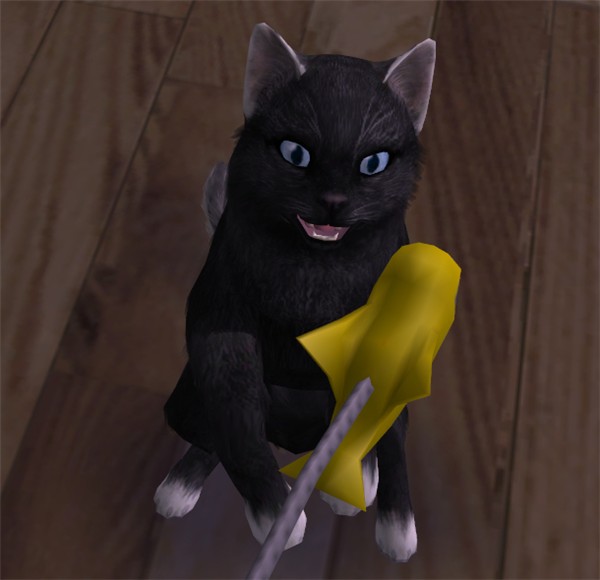Neko