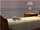 Rest