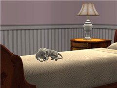 Rest