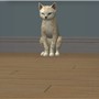 The Winking Cat