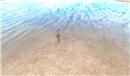 Snapshot_006