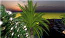 Snapshot_004 (2)