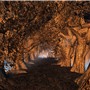 Golden silence