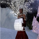 23.12.2007 Angel 6