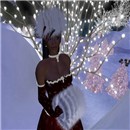 23.12.2007 Angel 11