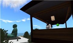 Snapshot_025