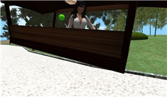 Snapshot_023