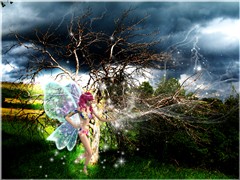 Fairy's anger