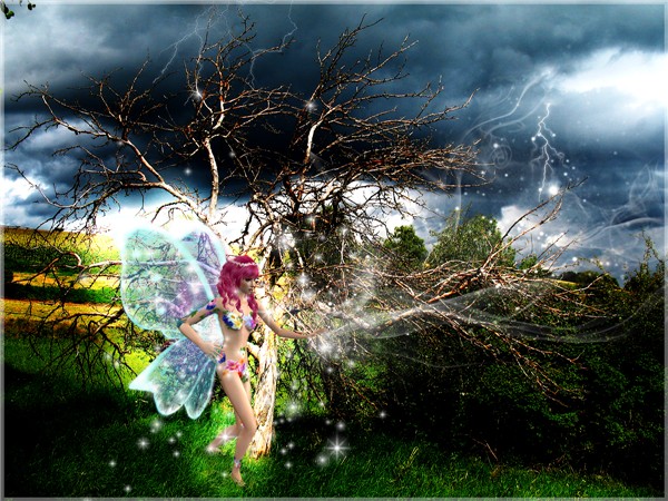 Fairy's anger