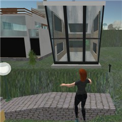 First_House_Snapshot
