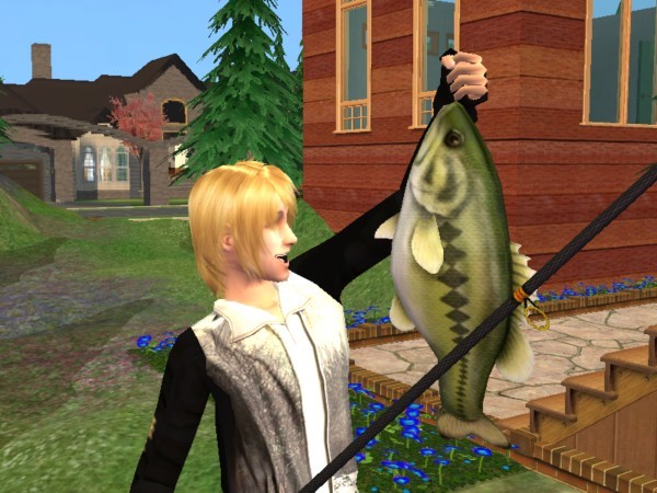 Fish