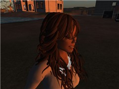 Snapshot_020
