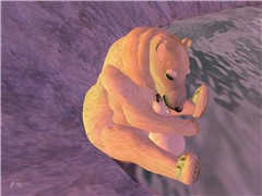 07-12-28 - Commonwealth - bear