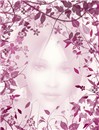 Dream 2