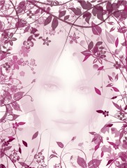 Dream 2