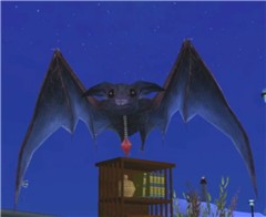 Night bird