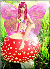 Mushroom