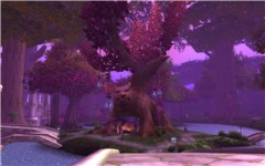 The Bank In Darnassus