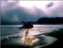Storm